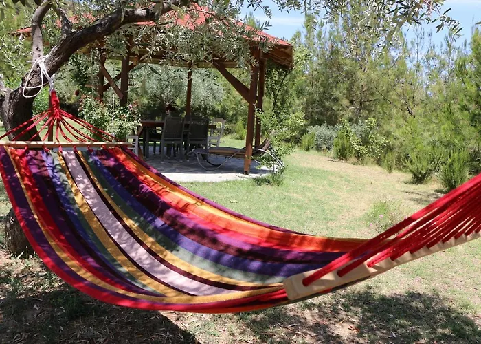 Fantasy Grand Thassos *