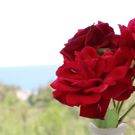 Fantasy Grand Thassos Astris