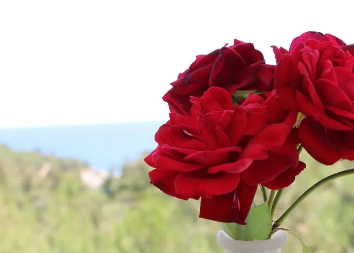 Fantasy Grand Thassos Astris